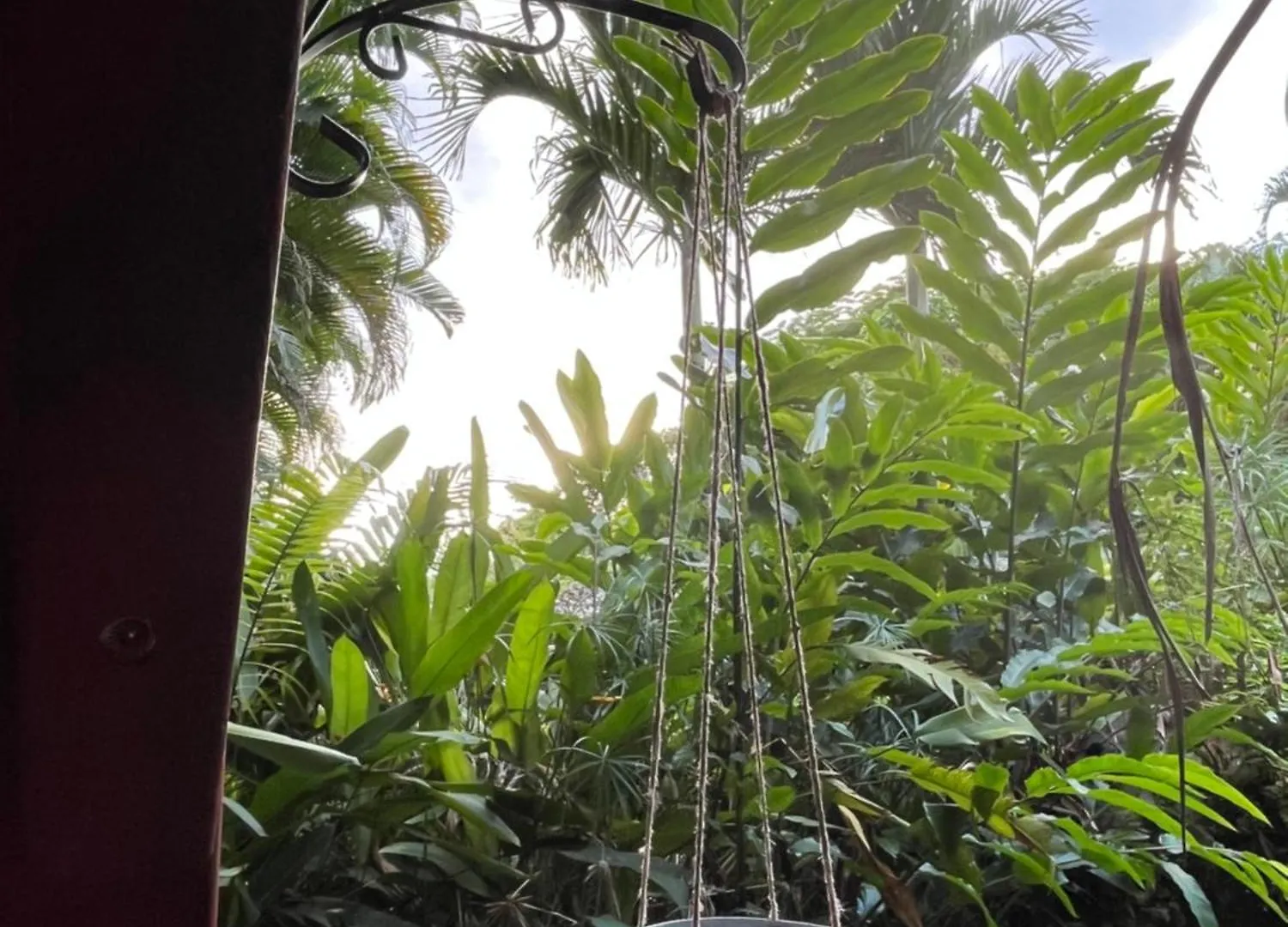 Le Morne Aux F0Us Cabanes & Jardin Tropical ديساي غوادلوب
