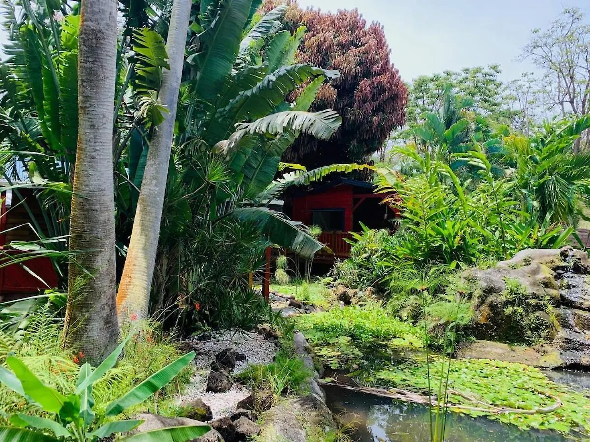 بيت ضيافة Le Morne Aux F0Us Cabanes & Jardin Tropical ديساي غوادلوب