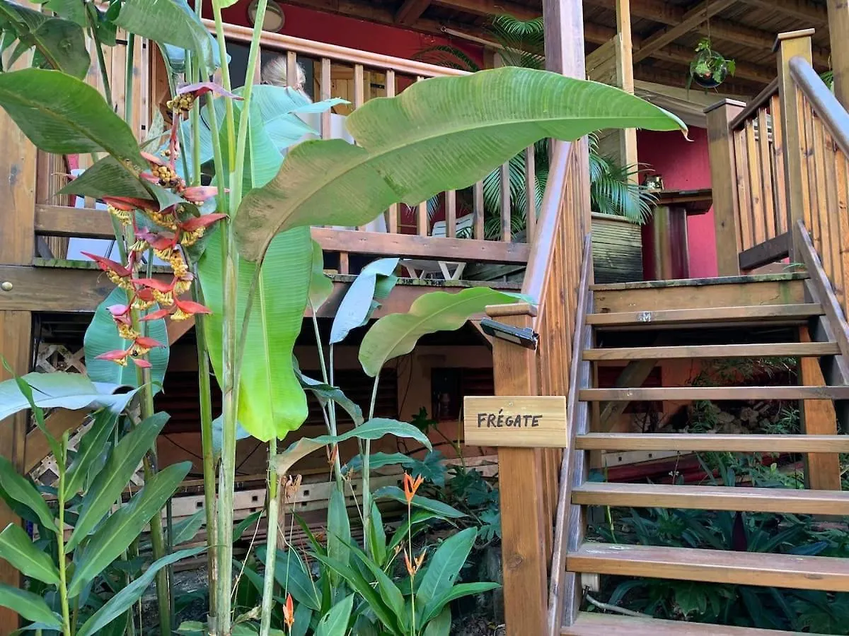 Le Morne Aux F0Us Cabanes & Jardin Tropical ديساي