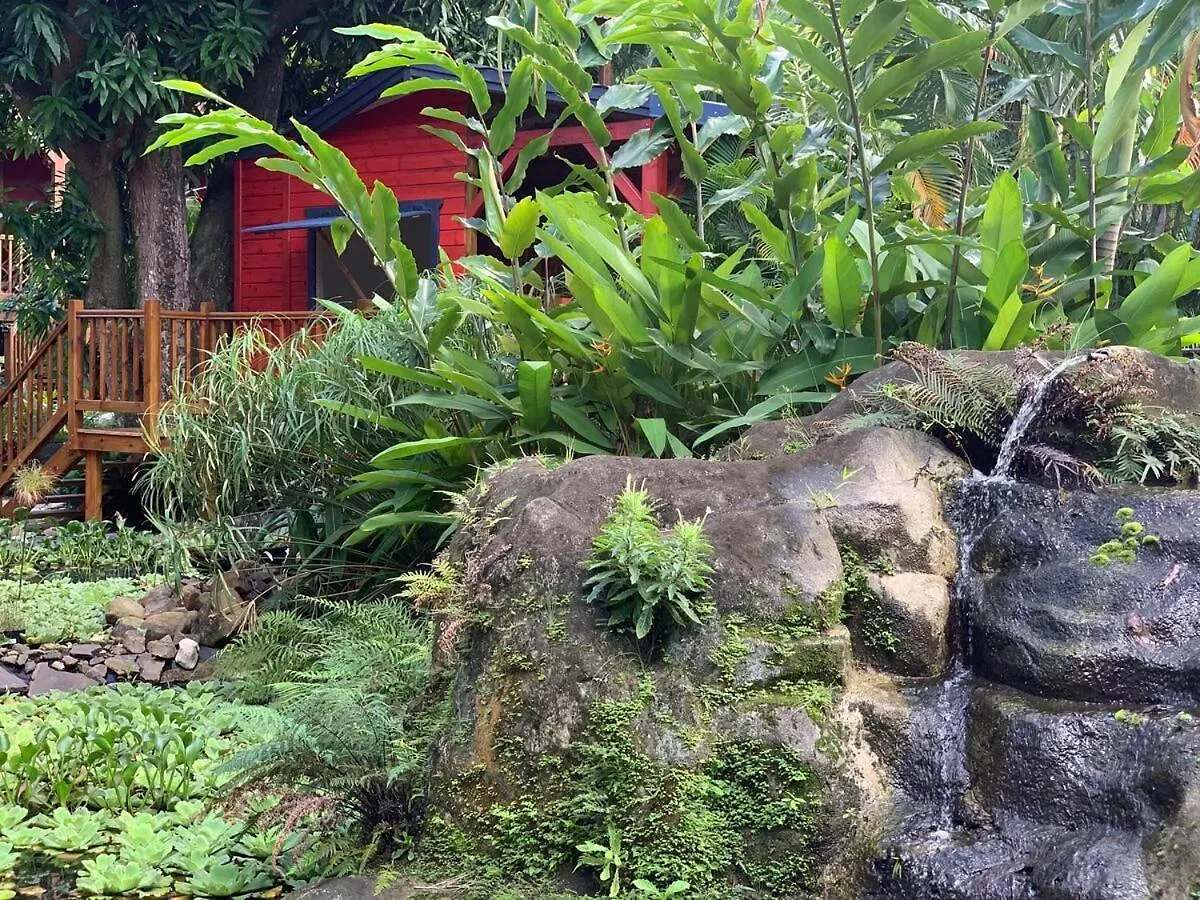 Le Morne Aux F0Us Cabanes & Jardin Tropical ديساي غوادلوب