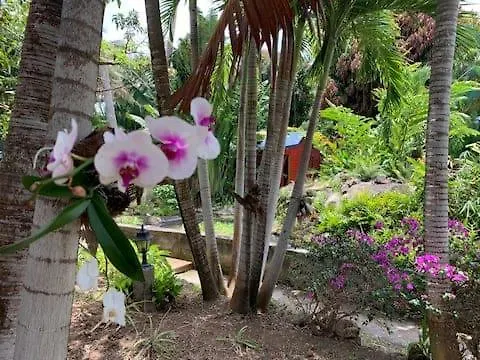 Гостевой дом Le Morne Aux F0Us Cabanes & Jardin Tropical Деше