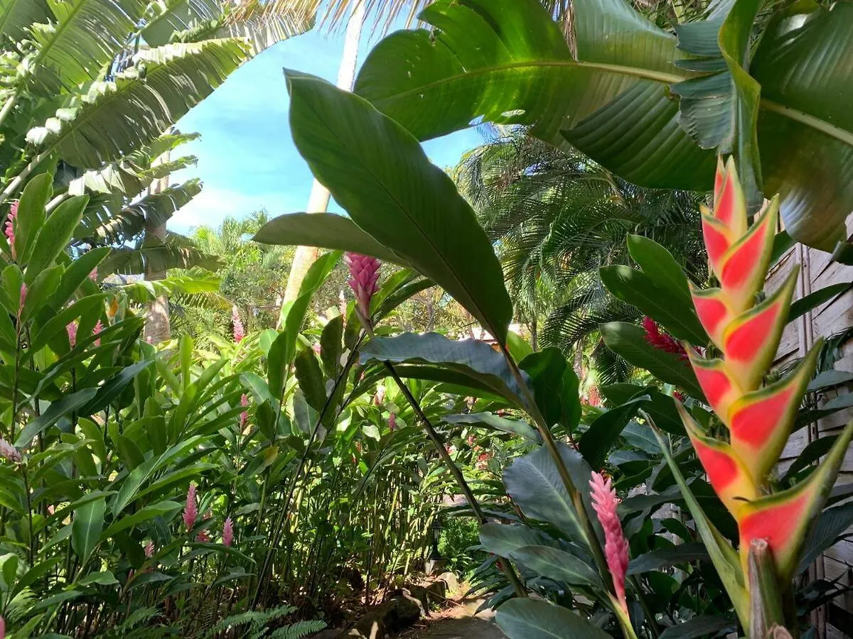 Le Morne Aux F0Us Cabanes & Jardin Tropical Деше Гостевой дом
